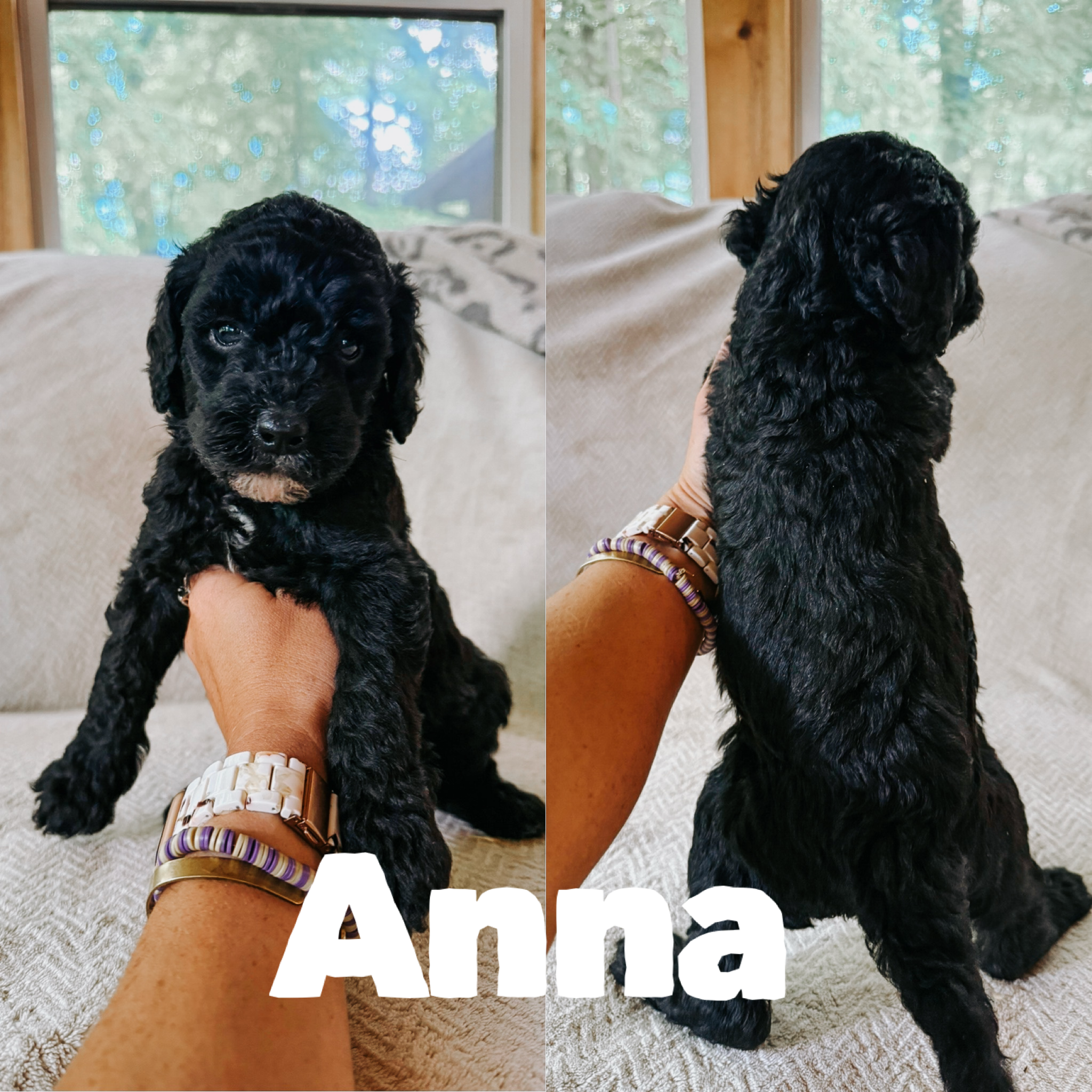 Anna 1
